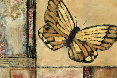 Butterfly In Yellow by Judi Bagnato framed canvas print