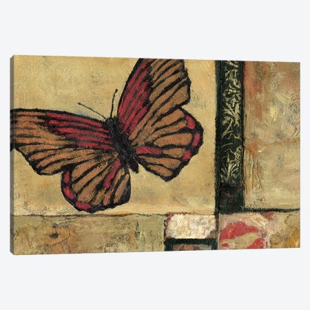 Butterfly in Border I Canvas Print #JBA28} by Judi Bagnato Canvas Art