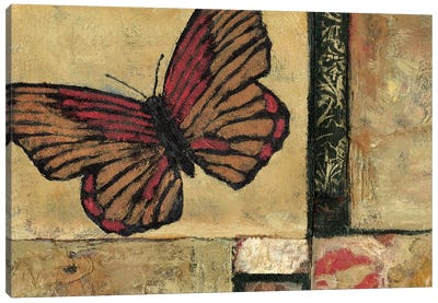 Butterfly in Border I Canvas Art Print