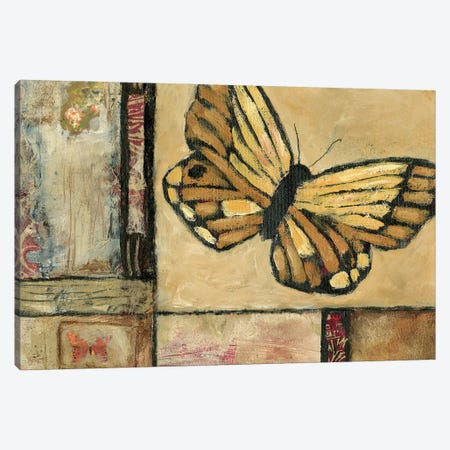 Butterfly in Border II Canvas Print #JBA29} by Judi Bagnato Canvas Artwork