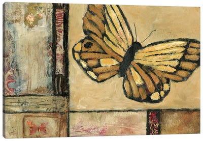 Butterfly in Border II Canvas Art Print