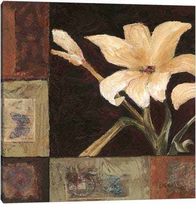 Magnolia Breeze I Canvas Art Print