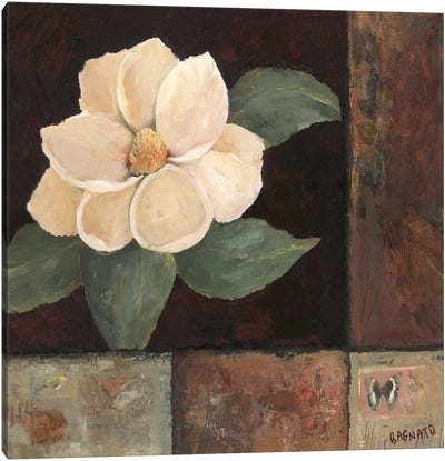 Magnolia Breeze II Canvas Art Print