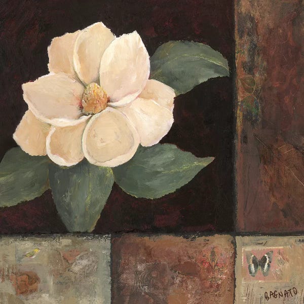 Magnolias: Magnolia Breeze II by Judi Bagnato