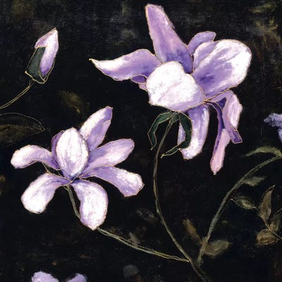 First Impressions I by Judi Bagnato framed canvas print