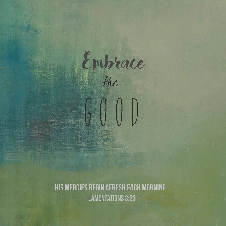 Embrace The Good