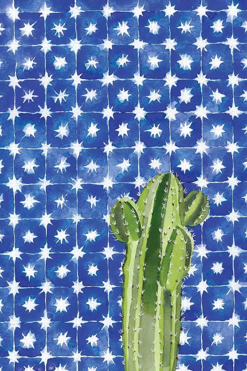 Blue Tile Agave