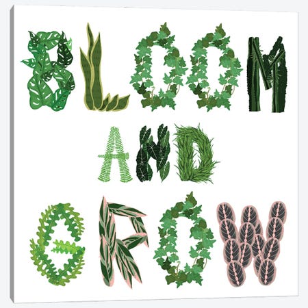 Bloom And Grow Canvas Print #JBC53} by Jen Bucheli Art Print