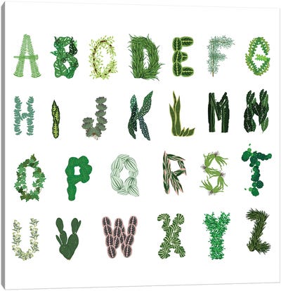 Plant Alphabet Canvas Art Print - Alphabet Art