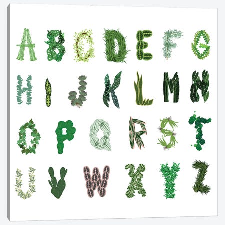 Plant Alphabet Canvas Print #JBC70} by Jen Bucheli Canvas Print