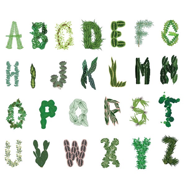 Full Alphabet: Plant Alphabet by Jen Bucheli