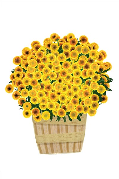 Yellow Mums by Jen Bucheli canvas print