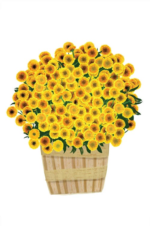 Yellow Mums