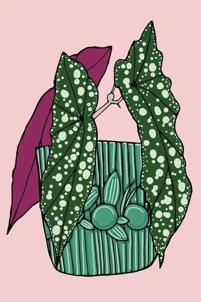 Jen Bucheli: Polka Dot Begonia by Jen Bucheli