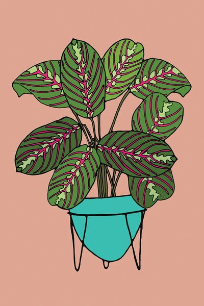 Jen Bucheli: Potted Plant IV by Jen Bucheli