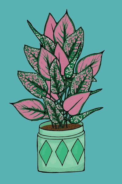 Potted Plant On Teal III
