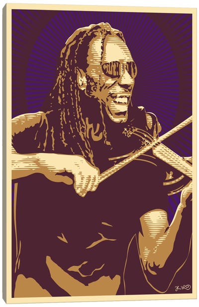 Boyd Tinsley Canvas Art Print - 90s-00s Collection