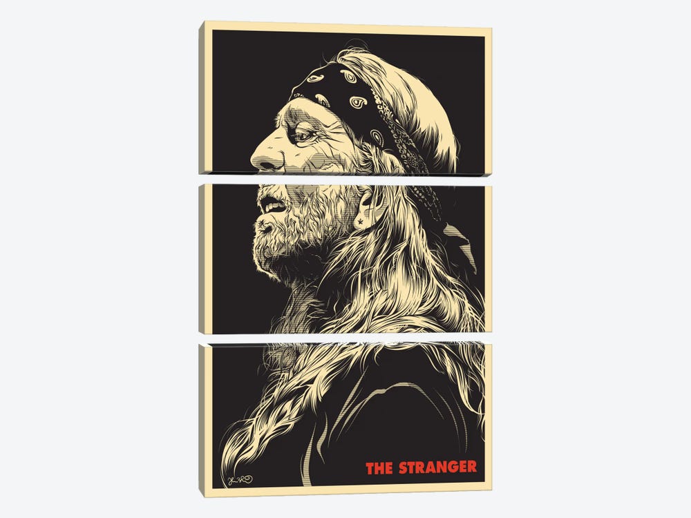 The Stranger: Willie Nelson by Joshua Budich 3-piece Canvas Art Print