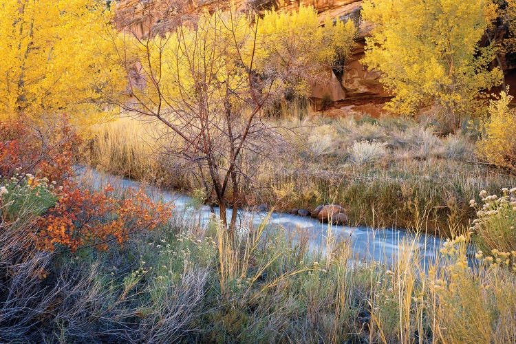 Autumn Chaos Along The Fremont