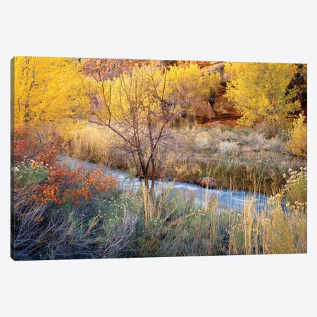 Autumn Chaos Along The Fremont Canvas Print #JBE3} by Jim Becia Canvas Artwork