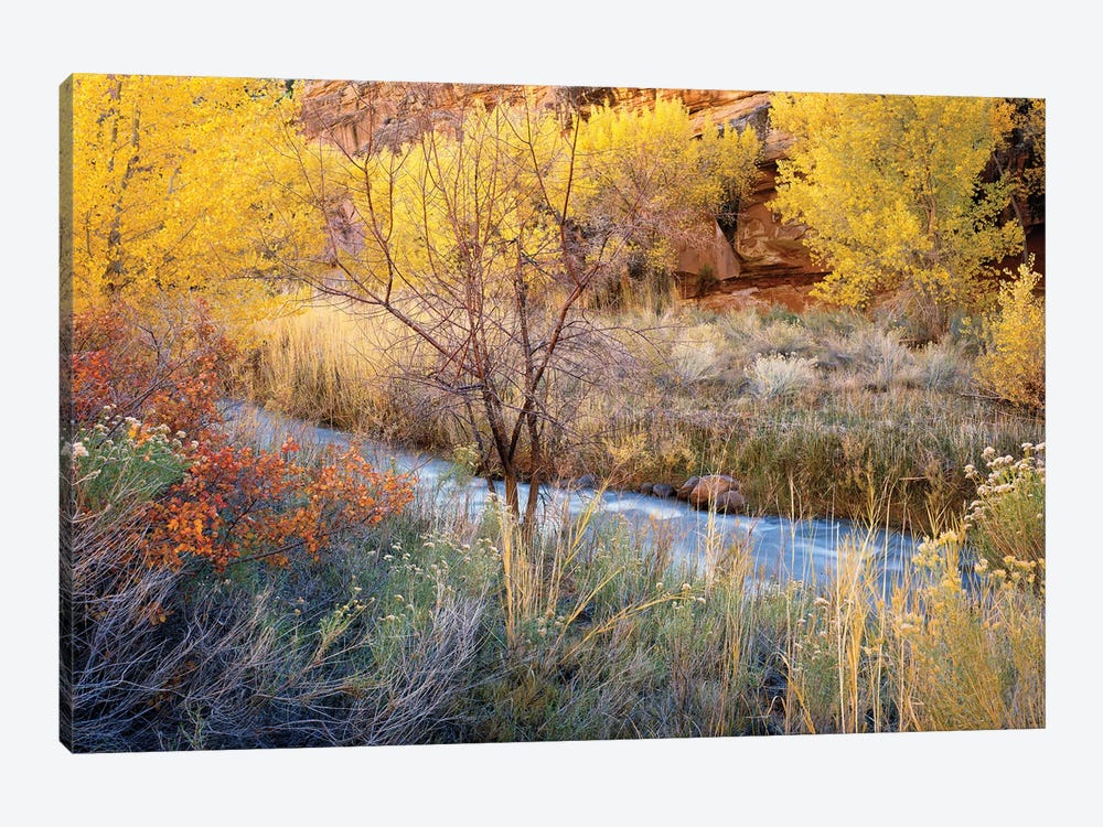 Autumn Chaos Along The Fremont by Jim Becia 1-piece Canvas Art Print