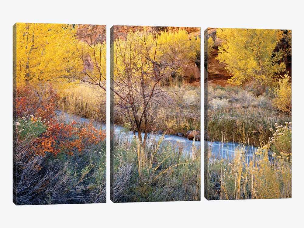Autumn Chaos Along The Fremont by Jim Becia 3-piece Canvas Print