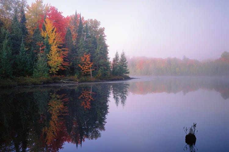 Foggy Morning Sunrise by Jim Becia wall art