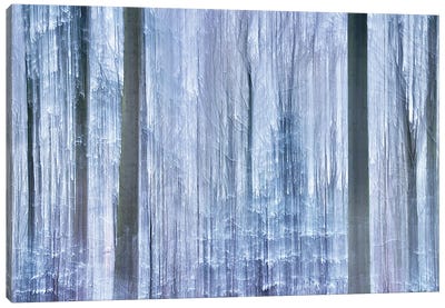 Awakening Forest Canvas Art Print - Jacob Berghoef