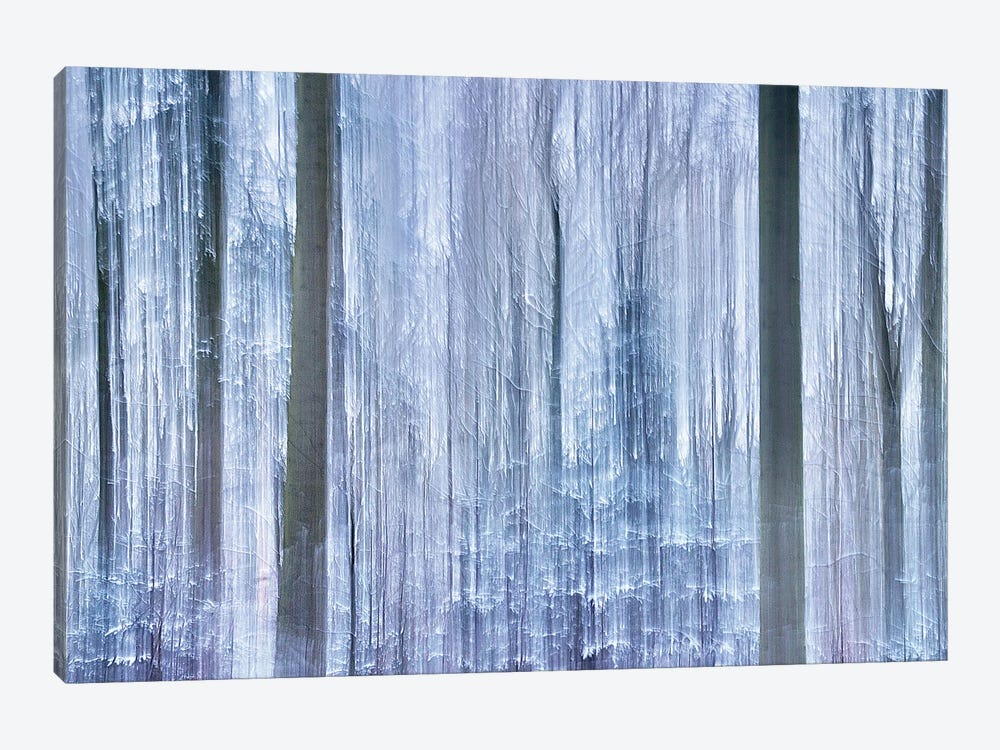 Awakening Forest by Jacob Berghoef 1-piece Canvas Print