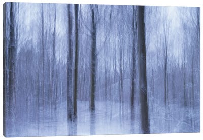Floating On Frozen Silence Canvas Art Print - Purple Abstract Art