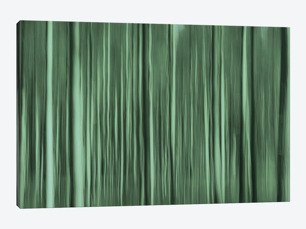 Green III by Jacob Berghoef 1-piece Canvas Art Print