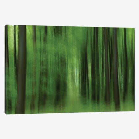 Green Song Canvas Print #JBF120} by Jacob Berghoef Canvas Wall Art