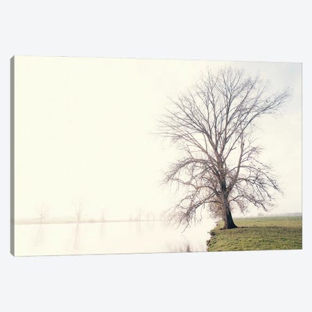 Waking Up Under A White Veiled Dawn Canvas Print #JBF148} by Jacob Berghoef Canvas Artwork