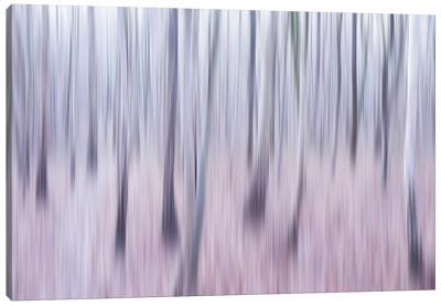 Frozen Light Canvas Art Print - Purple Abstract Art