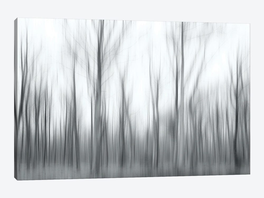 Shivering Trees by Jacob Berghoef 1-piece Canvas Wall Art