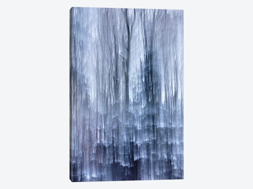 Frozen Scent by Jacob Berghoef 1-piece Canvas Wall Art