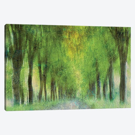 Entangled In Sunlight Canvas Print #JBF84} by Jacob Berghoef Canvas Wall Art