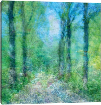 Blooming Forest Canvas Art Print - Jacob Berghoef