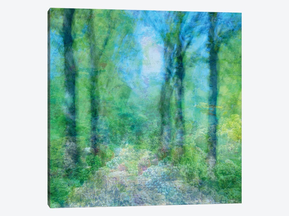 Blooming Forest by Jacob Berghoef 1-piece Canvas Wall Art