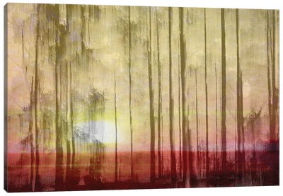 And Then The Sun Stood Still - Summer Solstice Canvas Art Print - Jacob Berghoef