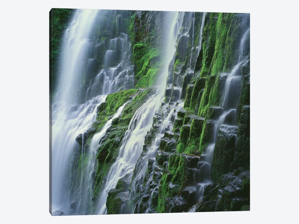 OR, Willamette NF. Three Sisters Wilderness, Lower Proxy Falls displays multiple cascades by John Barger 1-piece Canvas Art