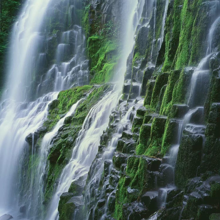 OR, Willamette NF. Three Sisters Wilderness, Lower Proxy Falls displays multiple cascades