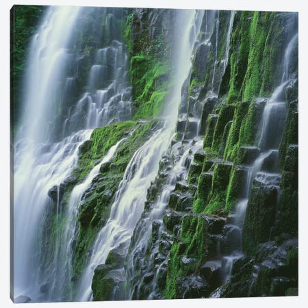 OR, Willamette NF. Three Sisters Wilderness, Lower Proxy Falls displays multiple cascades Canvas Print #JBG13} by John Barger Art Print