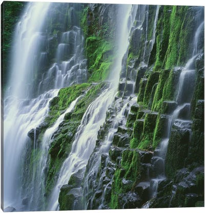 OR, Willamette NF. Three Sisters Wilderness, Lower Proxy Falls displays multiple cascades Canvas Art Print