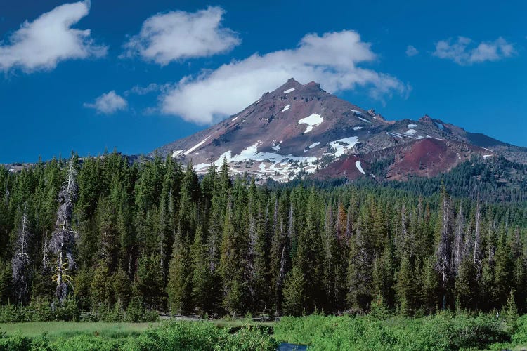 Oregon, Deschutes NF. South side of Broken Top rises above coniferous forest, shrubs and creek.