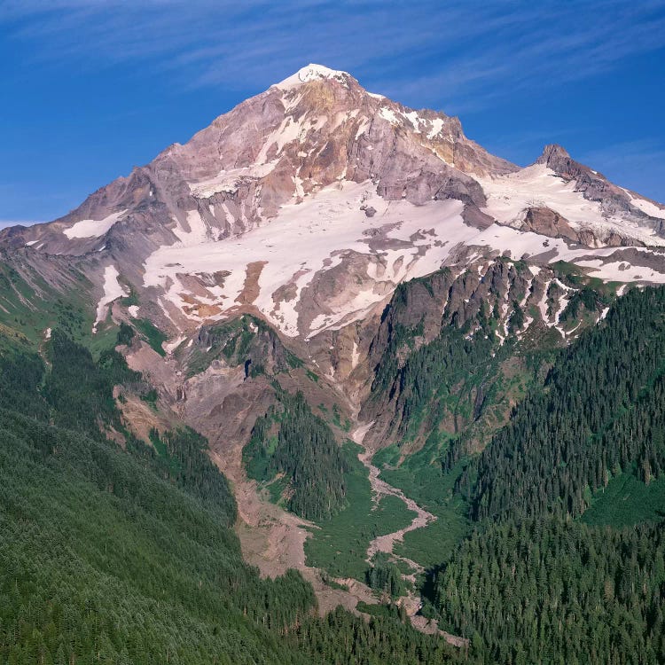 Oregon. Mount Hood NF, Mount Hood Wilderness, west side of Mount Hood and densely forested slopes