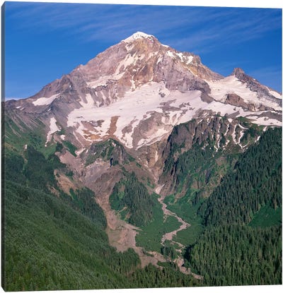 Oregon. Mount Hood NF, Mount Hood Wilderness, west side of Mount Hood and densely forested slopes Canvas Art Print