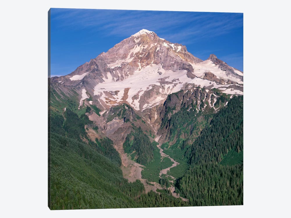 Oregon. Mount Hood NF, Mount Hood Wilderness, west side of Mount Hood and densely forested slopes by John Barger 1-piece Canvas Wall Art