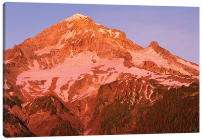 Oregon. Mount Hood NF, Mount Hood Wilderness, west side of Mount Hood reddens at sunset. Canvas Art Print - Cascade Range Art