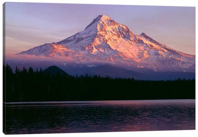 Oregon. Mount Hood NF, sunset light reddens north side of Mount Hood with first snow of autumn Canvas Art Print